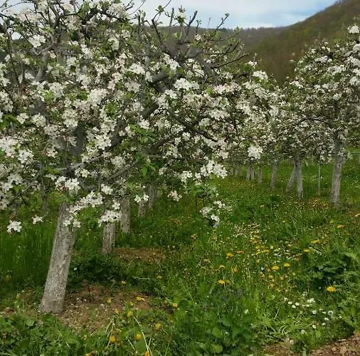 Bed & Breakfast Na Drini 3*
